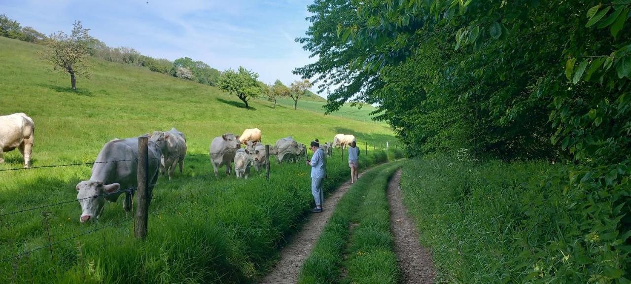 La Croisee Des Chemins Arques-la-Bataille Luaran gambar