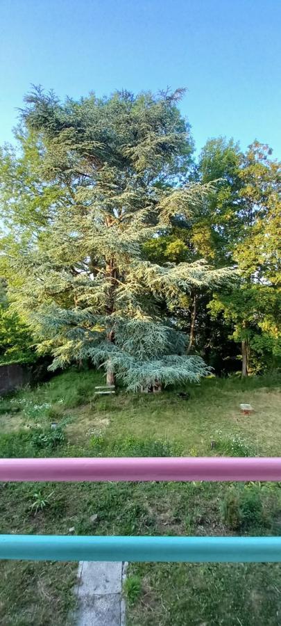 La Croisee Des Chemins Arques-la-Bataille Luaran gambar